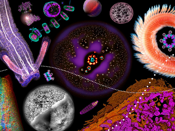 Collage 2_080322_EK-01-01_Größe Website.jpg